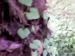 bangladeshi sex indian Telugu village Aunty In Saree Fucked Outdoor